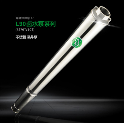 L90卤水泵系列